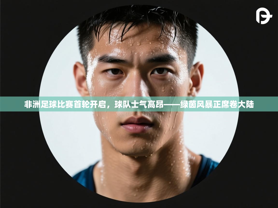 非洲足球比赛首轮开启,球队士气高昂——绿茵风暴正席卷大陆 第1张
